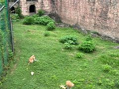 -南昌动物园