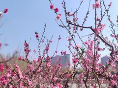 -朝阳公园游乐园