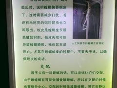 -上海昆虫博物馆