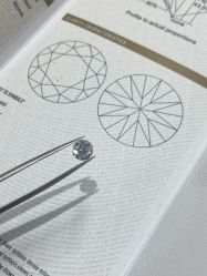 -钻石小鸟钻戒婚戒定制(石路店)