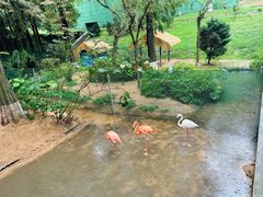 -西霞口神雕山野生动物世界