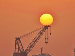-上海吴淞炮台湾国家湿地公园