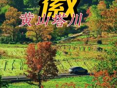 -塔川景区