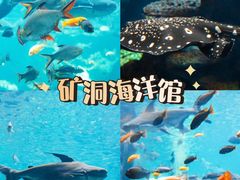 -长鹿旅游休博园