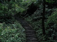 -青城山