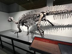 -大连自然博物馆·地球展厅