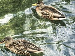 -水磨沟公园