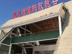 -亚龙湾国际玫瑰谷