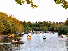 -上海共青森林公园