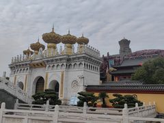 -上海东林寺(金山区)