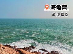 -广东惠东海龟国家级自然保护区