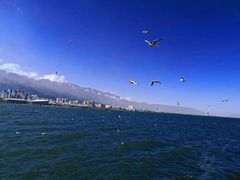 -大理洱海