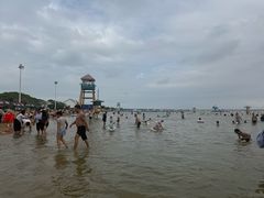-碧海金沙