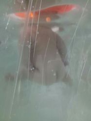 -弗蕾亚·和月月子调理院(东湖店)