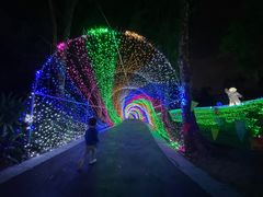 -广西壮族自治区药用植物园