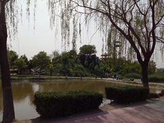 -白洋淀景区