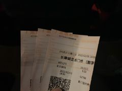 -金逸影城(武汉人信汇IMAX店)