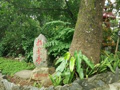 -瑞丽独树成林风景区