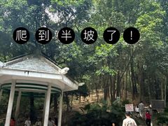 -火炉山森林公园