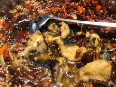 疯狂麻辣鱼-望京一号·重庆江湖菜(工体店)