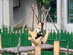 -沈阳森林动物园