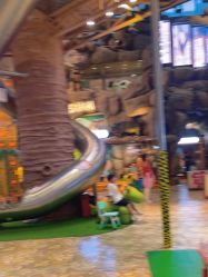 -卡通尼·Safari非洲探索乐园·生日会(金桥国际商业广场店)