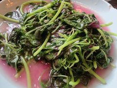 时令蔬菜（米苋）-双塔老饭店
