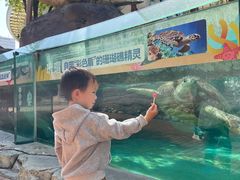 -海合安成都极地海洋公园