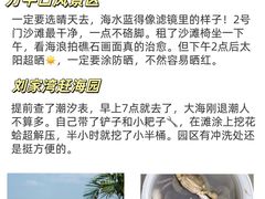 -日照海滨国家森林公园