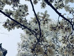 -天津盘山风景名胜区