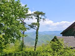 -莫干山风景区