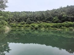 -九龙潭景区