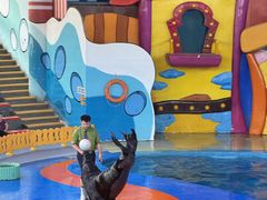 -海合安武汉极地海洋公园