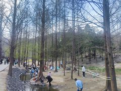 -白水寺森林公园