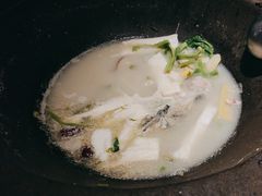 -鲜潭蒸汽石锅鱼(五道口购物中心店)