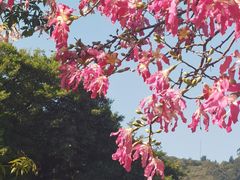 -厦门国家会计学院