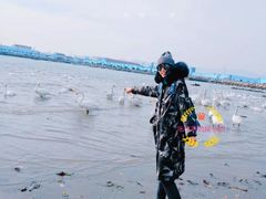 -烟墩角天鹅湖