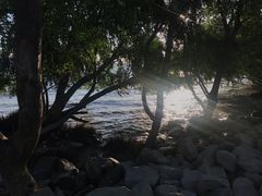 -宝安西湾红树林湿地公园