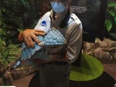 -侏罗纪世界电影特展(广州站)