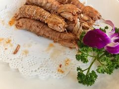 -新金盛·海鲜酒楼(盐田店)