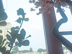 -蚬皇•陈味莞(西平景湖店)