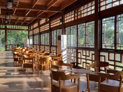 -东南花都花博园