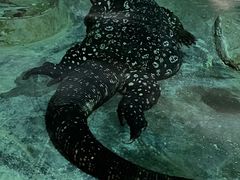 -沈阳森林动物园