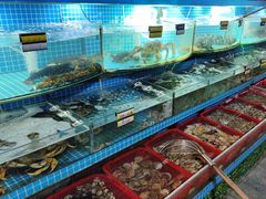-望海潮海鲜店 特色家常菜(在海一方店)