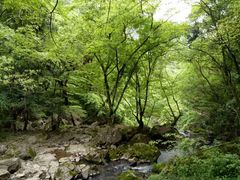 -溪口-滕头旅游景区