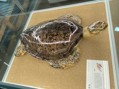 -天津古林古海岸遗迹博物馆