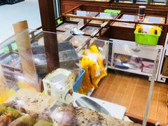 -粒上皇(天丰利市场店)