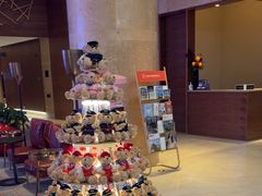 -南京禄口机场雅高铂尔曼大酒店