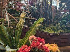 -半秋山西餐厅(巴南万达广场店)