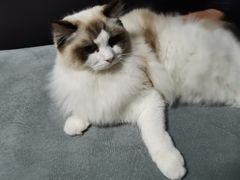 -零纪元VR体验馆·桌游(黄浦店)